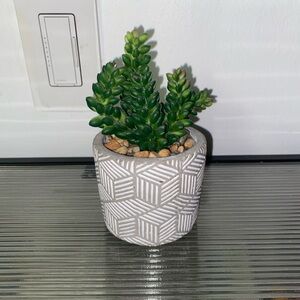 Fake Succulent plant